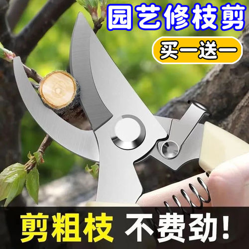 剪树枝剪刀专用花剪园艺园林修枝园丁剪嫁接强力采摘省力修水果树