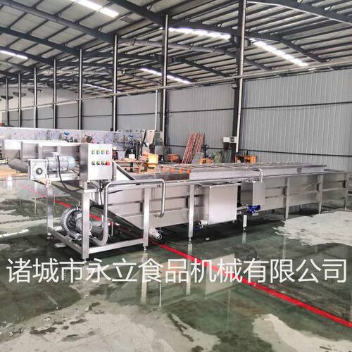 菌菇类气泡清洗风干线 果蔬气泡清洗机 酱腌菜喷淋清洗机