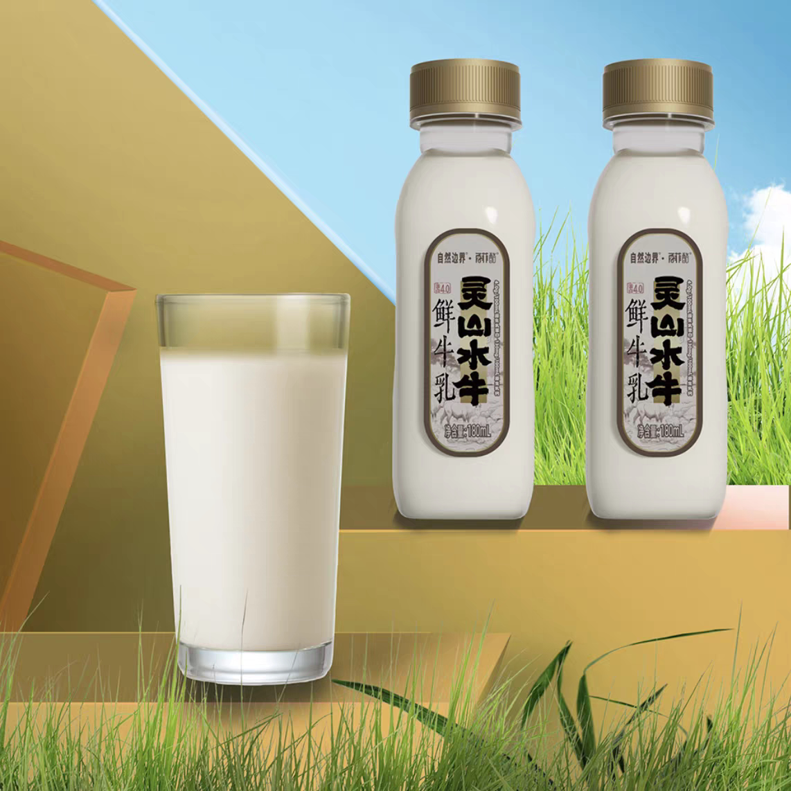 盒马代购百菲酪低温鲜牛乳4盒