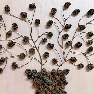 diy天然植物果实永生果干花水杉果松果DIY材料幼儿教育一份30个