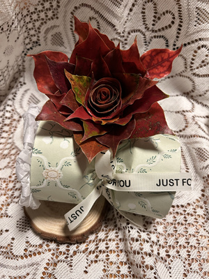 树叶落叶秋叶装饰真树叶枯叶标本干树叶天然树叶摄影道具橱窗手工