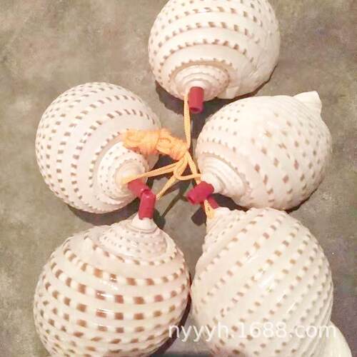 海螺号角可贝壳超大哨子吹响喇叭口哨工艺礼品摆饰儿童玩具小螺号