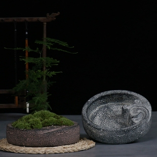 仿古中国风禅意紫砂粗陶水泥微景观花盆菖蒲文竹中式复古做旧花器