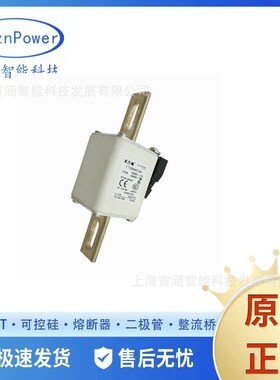 低压熔芯自恢复熔断器/保险丝170M4540 170M5531 170M5532