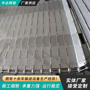 链板输送带不锈钢冲孔链板食品流水线清洗烘干传送带链条式链i.