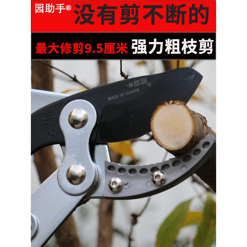 修剪树枝专用剪刀剪硬物修枝剪强力园林果树剪刀园艺园剪刀粗枝剪