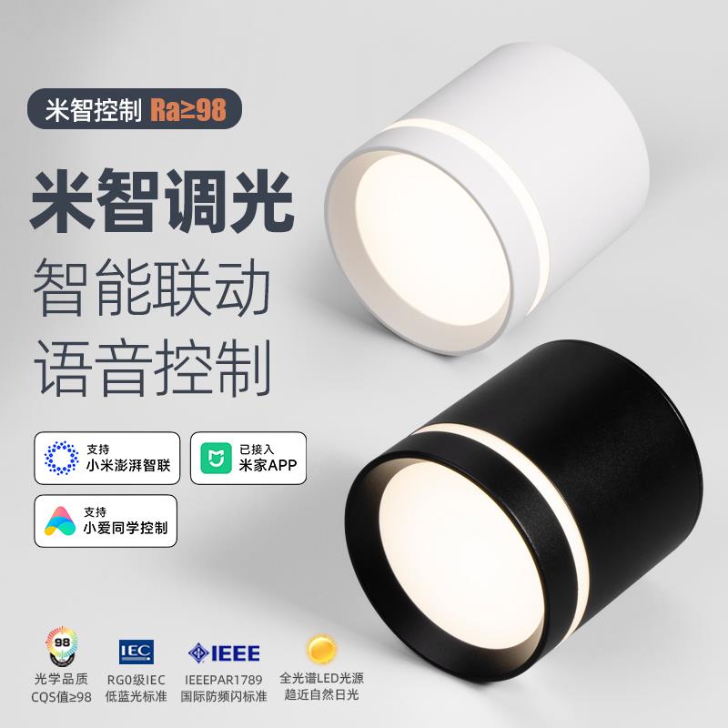 已接入米家APP智能明装筒灯免打孔无极调光调色智能语音遥控射灯