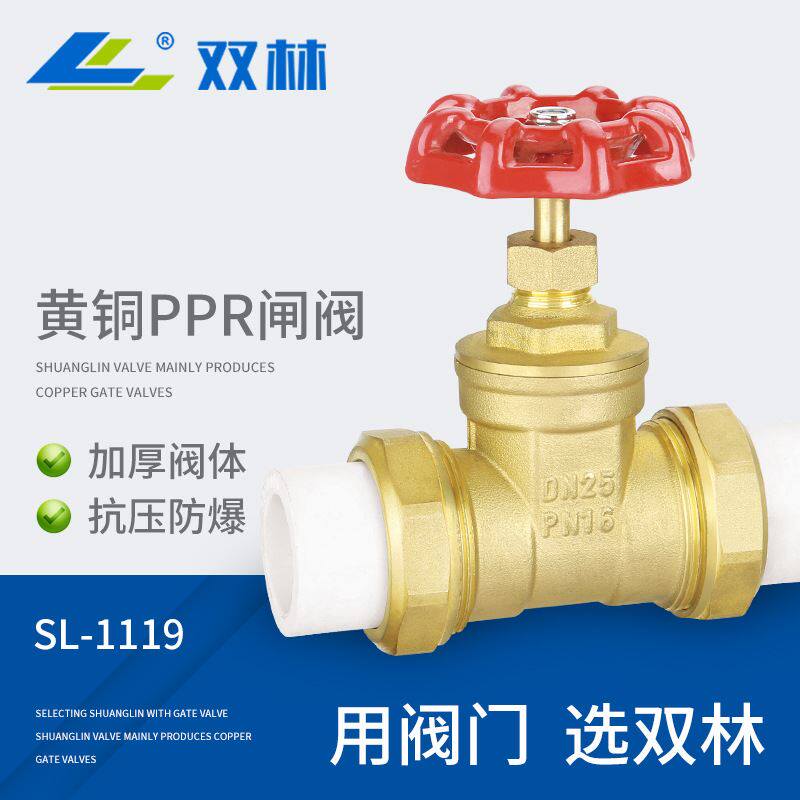 厂家销售 闸阀 ppr黄铜闸阀 国标双活接热熔闸阀 管道专用