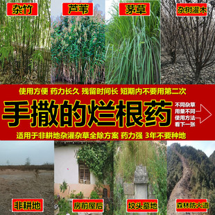 手撒的坟头扫墓除草剂不喷雾直接撒的烂根药茅草竹子杂灌木芦苇药