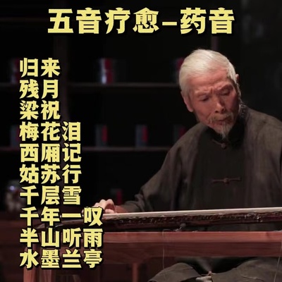 茶室音乐五音疗愈药音纯音乐u盘古琴古筝琵琶无损音乐优盘tf卡CD