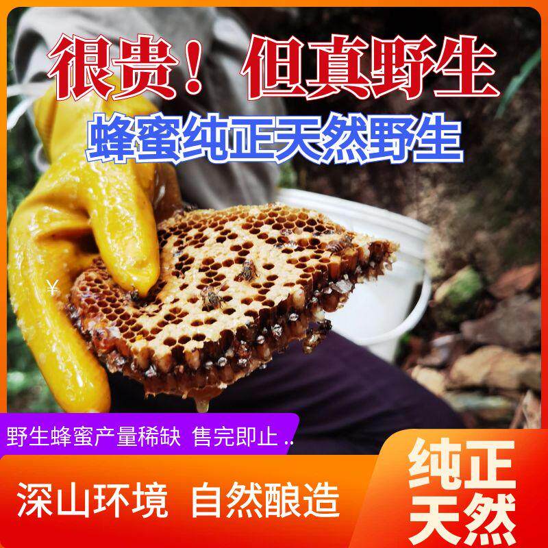 1年仅1次深山土蜂取摘土蜂蜜纯正天然百花蜜0 添加500克老山蜂蜜