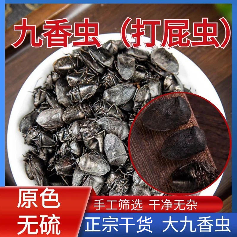 精选九香虫中药材正品新货无硫食用打屁虫屁巴虫臭壳子虫500克