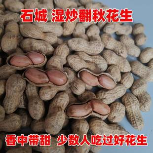 石城翻秋花生江西带壳原味湿炒花生炒货熟花生农家土产赣州