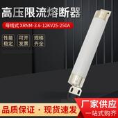 高压熔断器XRNM1 3.6KV7.2KV12KV高压电机保护熔断器母线式 100A
