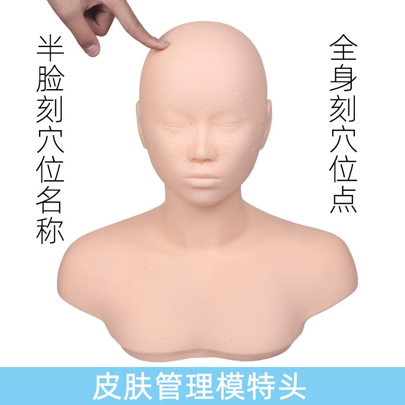 美容院人头模具学徒学美容洗脸的人头皮肤管理头模美容按摩穴位