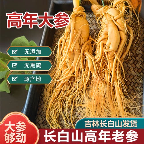 人参长白山煲汤泡酒滋补养生直发