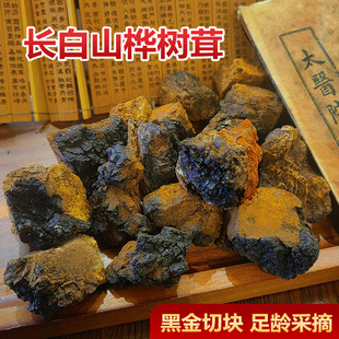 长白山桦树茸黑金块正品野生桦褐孔菌一斤切块糖克星高品质白桦茸