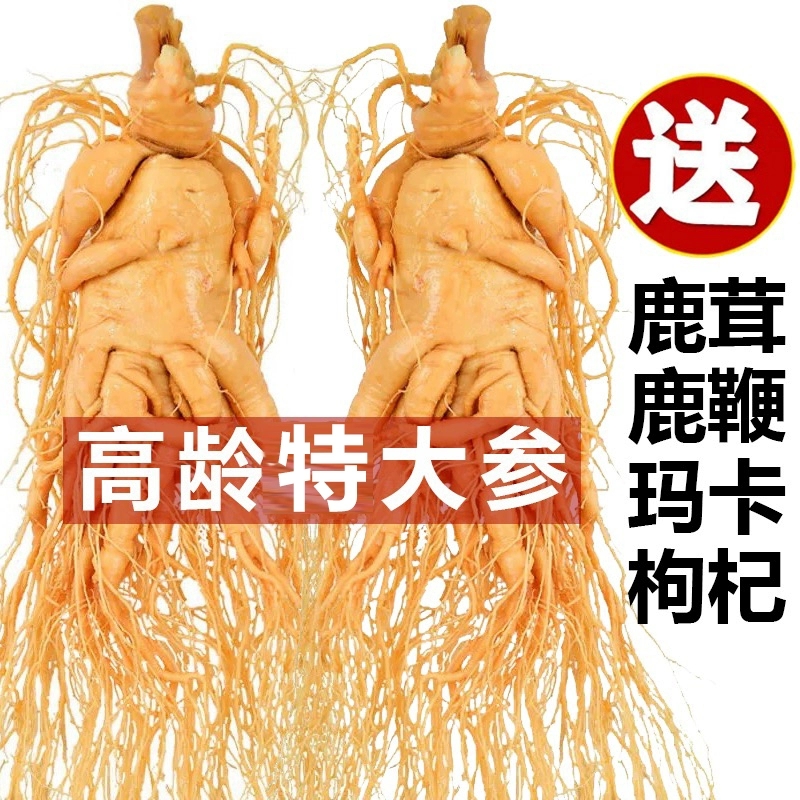 长白山整支人参煲汤泡酒专用高龄鲜参正宗东北特产吉林园参特大参