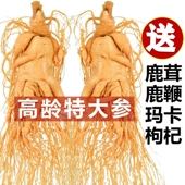 长白山整支人参煲汤泡酒专用高龄鲜参正宗东北特产吉林园参特大参