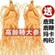 长白山整支人参煲汤泡酒专用高龄鲜参正宗东北特产吉林园参特大参