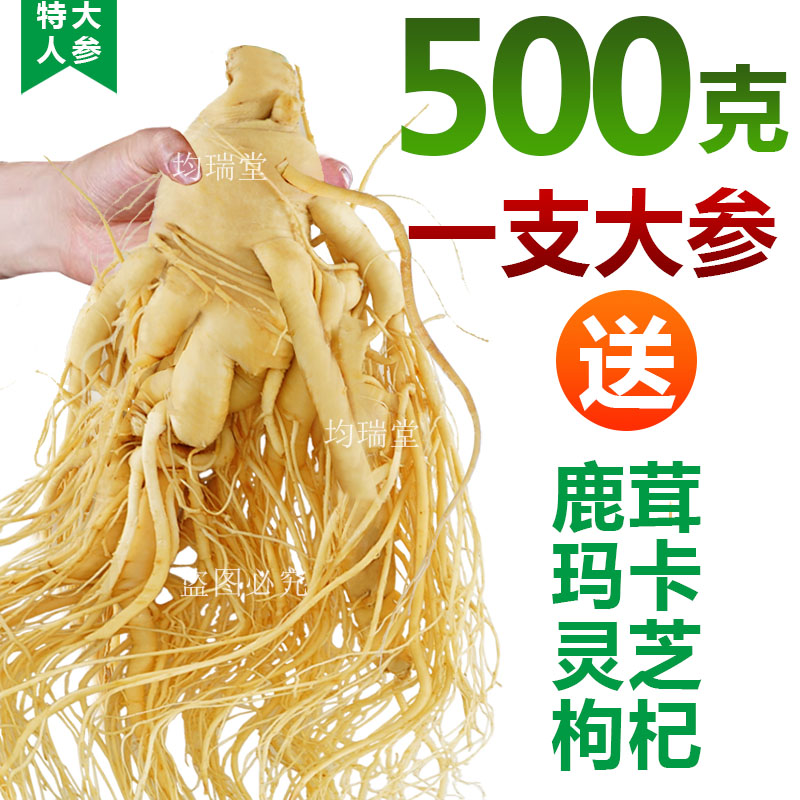 长白山鲜人参煲汤泡酒滋补养生专用人参高皂苷浆气足送人东北特产