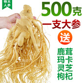 长白山鲜人参煲汤泡酒滋补养生专用人参高皂苷浆气足送人东北特产