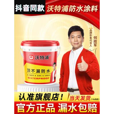 沃特浦防水涂料屋檐楼顶屋顶房顶裂缝外墙补漏防漏水防水胶水材料