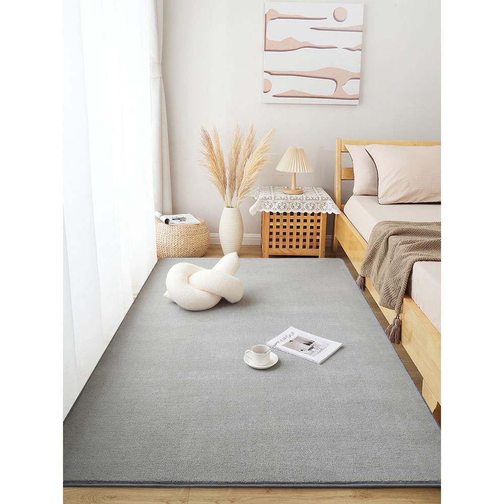 地毯卧室ins风房间床边毯高级灰色客厅毯加厚短绒床前地垫可机洗