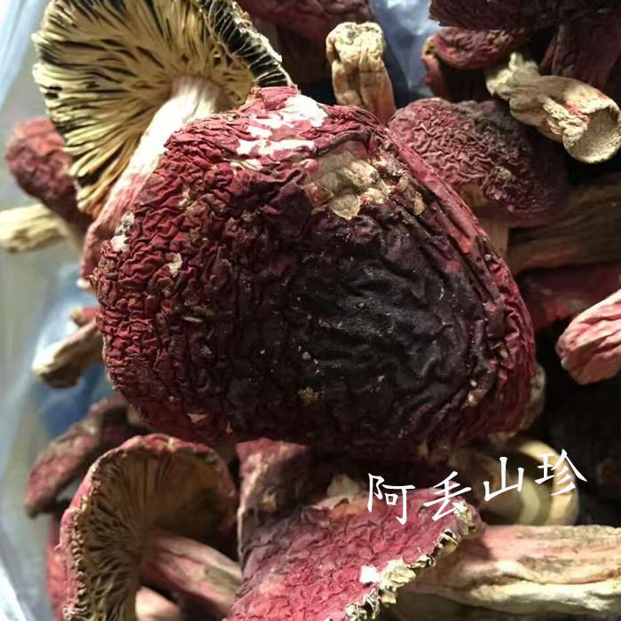 广材西金秀盘瑶传统滋补品其他农家土特产ZEX红菇一干煲货汤食斤