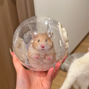 仓鼠跑轮跑球跑步透气便携静音大空间防逃逸外带玩具金丝熊用品