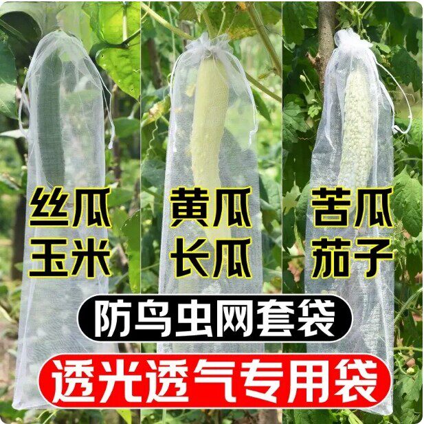 丝瓜黄瓜苦瓜套袋纱袋防虫专用网袋水果葡萄番茄枇杷瓜果保护袋子