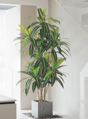 北欧ins风彷真绿色植物巴西木盆栽假植物盆景室内客厅落地装饰造