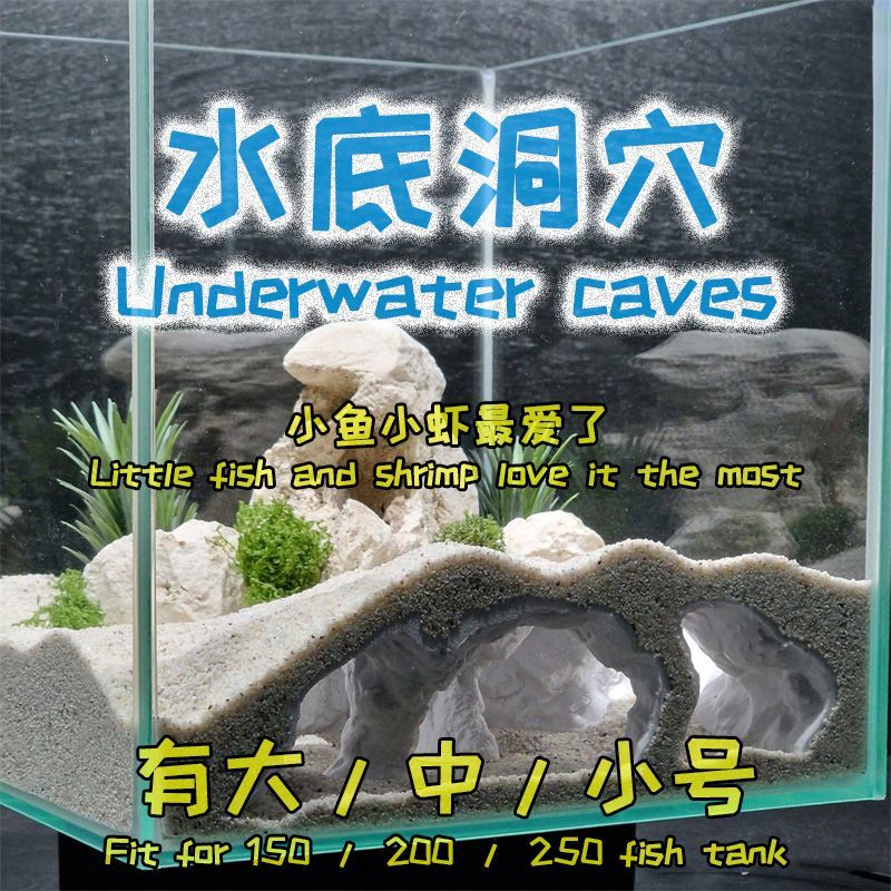 鱼缸造景爬宠蜥蜴守宫