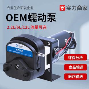 固定转速直流减速蠕动泵食品行业输送添加剂大流量OEM定制蠕动泵