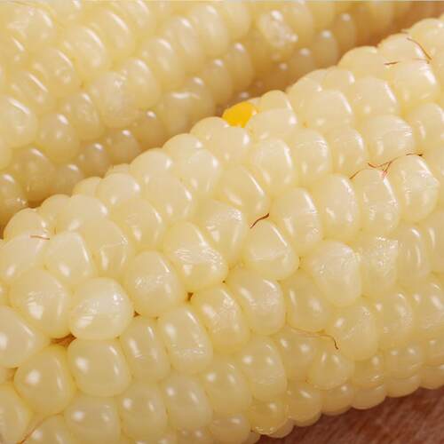【富硒玉米】禾鲜食甜糯粘北白玉米早铝箔非久NTX东餐真空装8根
