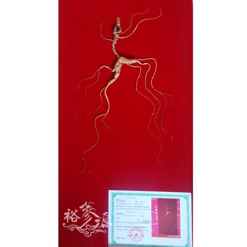 品野山参礼盒人参山检VYZ参林下参国全国包邮长白山人山参野参牌