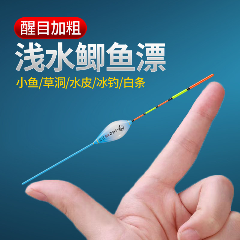 浅水短小鱼漂加粗醒目尾鲫鱼鲤鱼浮漂