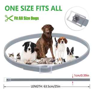 Ansti Flea Cat 极速Dewel Months Collar Protecti Dog