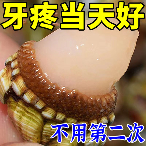 极速【专攻牙活动】牙齿松动牙龈委缩牙晃动出血肿痛W固齿护龈牙