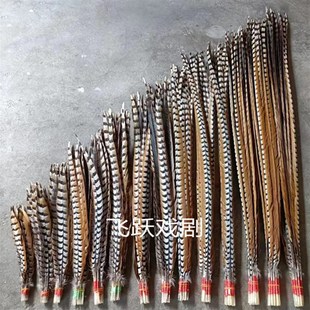 极速孙悟空俏花旦京剧戏曲京戏演出天然I野鸡毛超长翎毛雉鸡翎羽