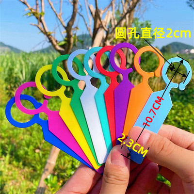 极速宏荣塑料植物园艺p标签记号牌环扣标记牌加厚绿植果树吊牌挂