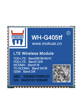 极速4g透传模块五模十三频引脚兼容EC20串口透传标准ATU指令WH-G4