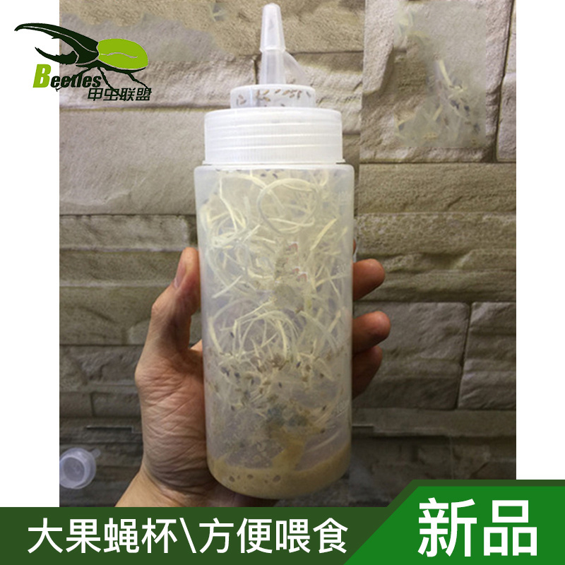 残翅大果蝇杯果蝇杯 角蛙 树蛙蜘蛛 螳螂苗子饲料 活体活饵满包邮