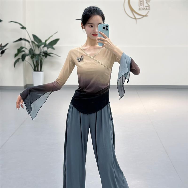 古典舞蝴蝶纱衣夏新款现代舞网纱舞蹈练功服上衣中国舞艺考演出服