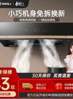 威力抽油烟机WLT30家用厨