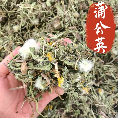 蒲公英中药材干草 蒲公英干货蒲公英茶蒲公英干草