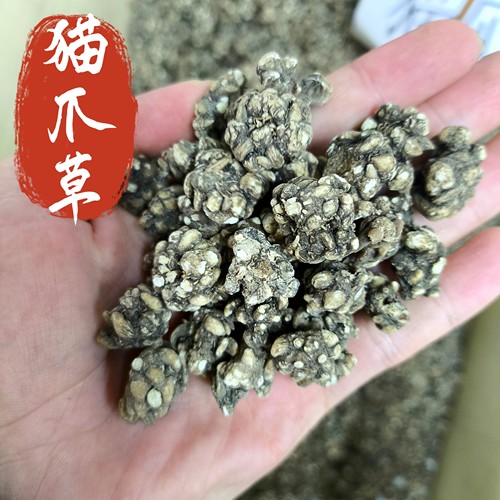 猫爪草中药材新品猫爪草猫爪茶