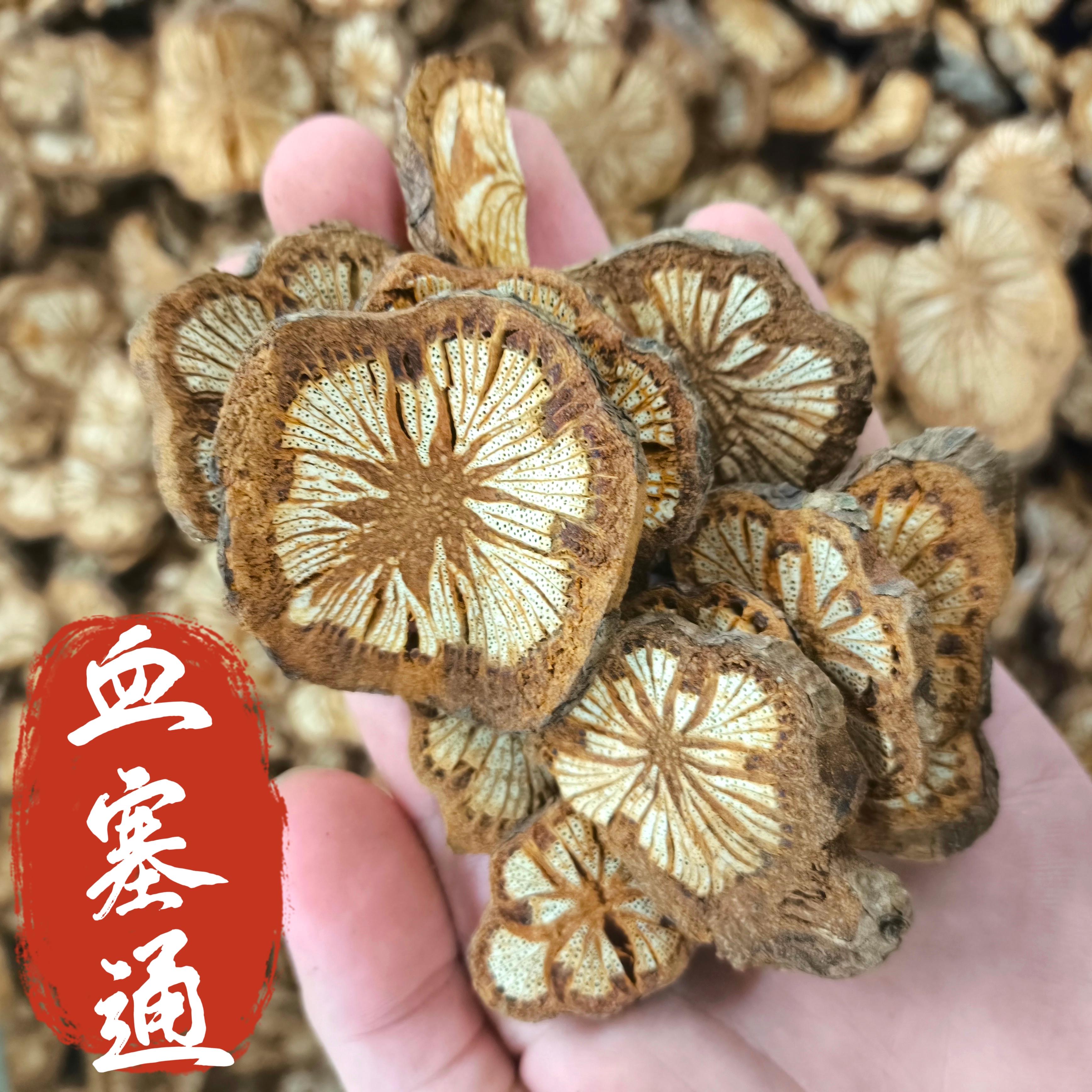 血塞通中药材血通血藤片红藤片