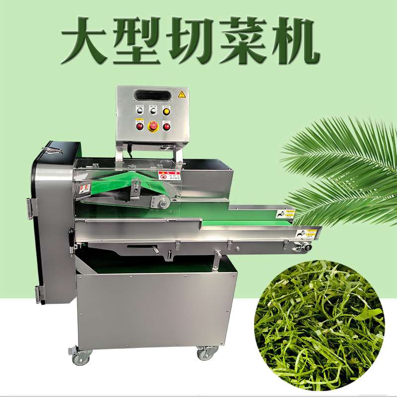 TJ-306A蔬菜加工白菜菠菜切丝机 芹菜豆角切段机