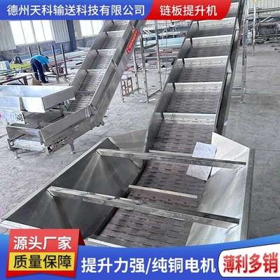 链板提升机 小型电动斗式上料机流水线 链板式爬坡提升机